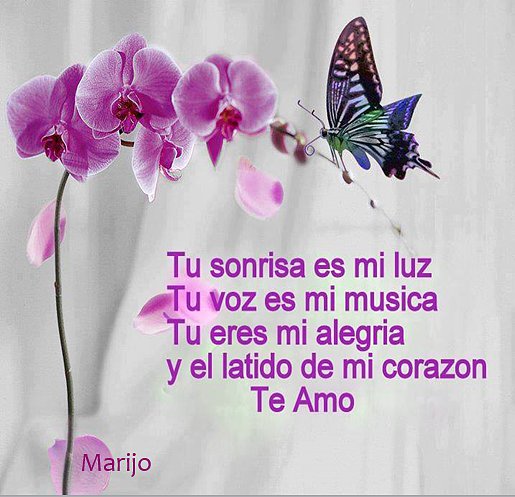 Una sonrrisa 02 / 2014