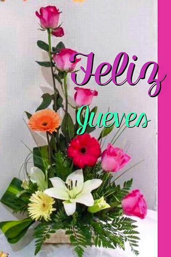 Bienvenido 2018