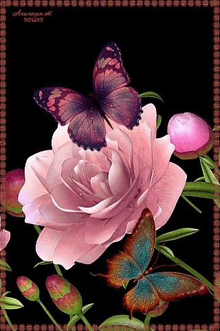 Mariposas en movimiento