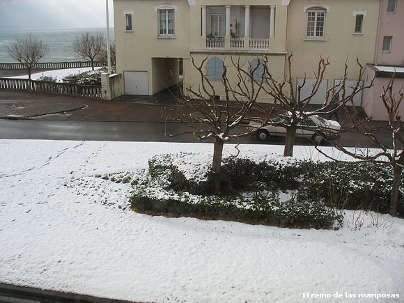Nieve