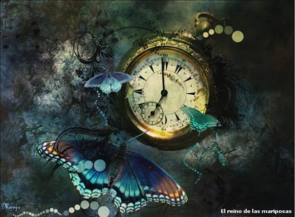 relog y mariposas