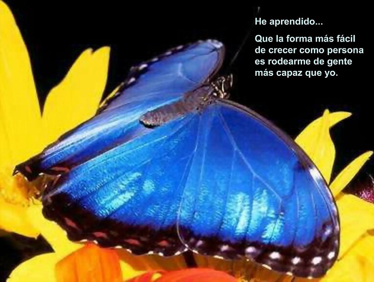 azul y amarillo