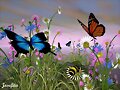 Mariposas y flores