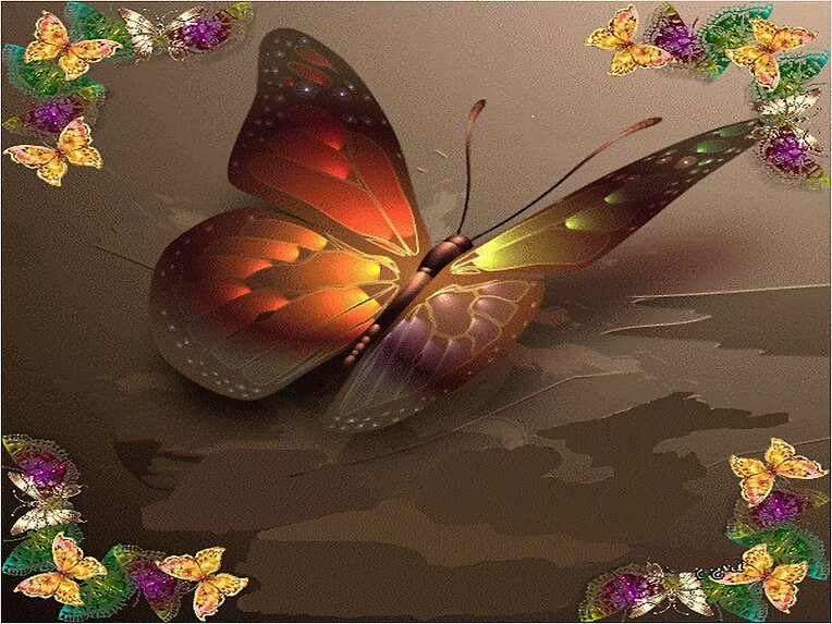 Varias mariposas