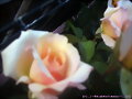 Para Gladys =)