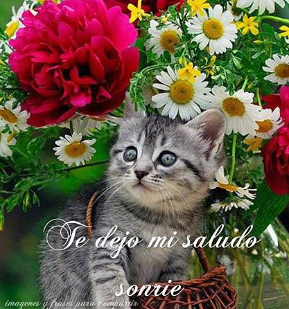 hola