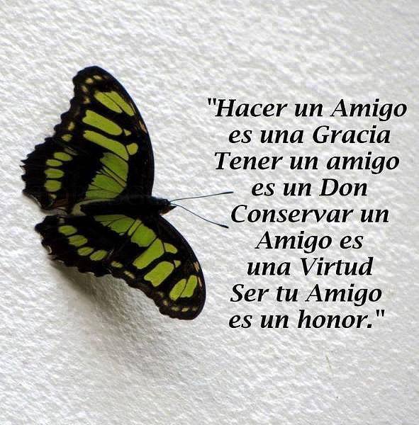 hola