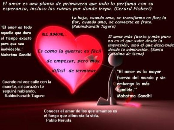 elamor