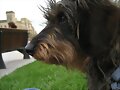 DUNA EN PAMPLONA