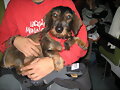 CURT EN EL CREMALLERA DE NURIA