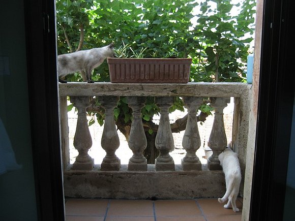EN SU BALCÓN