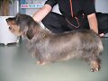 DUNA DEPU&Eacute;S DE LA PELU
