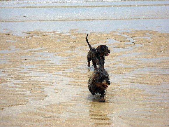 JUGANDO EN LA PLAYA DE GIJÓN