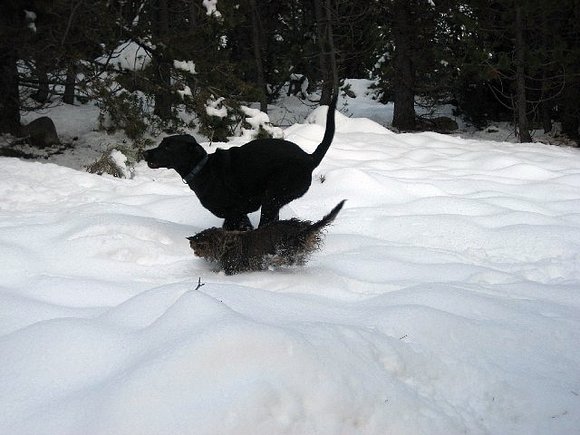 JARA Y DUNA; CARRERAS EN LA NIEVE