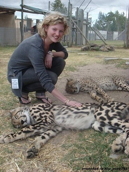 CariiBa ttOcandO un LeOpardO!!