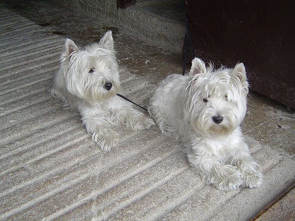 Argon y Ashly en el pueblo