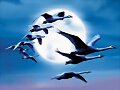 CLARO DE LUNA - CLAUDE DEBUSSY
