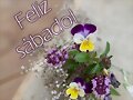 FELIZ SABADO