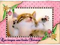 FELIZ INICIO DE SEMANA