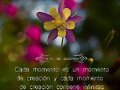 FRASE