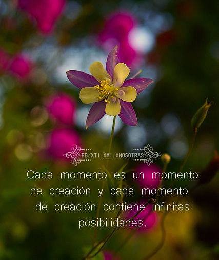 FRASE