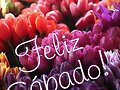 FELIZ SABADO