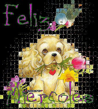FELIZ MIERCOLES