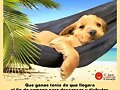FELIZ FINDE