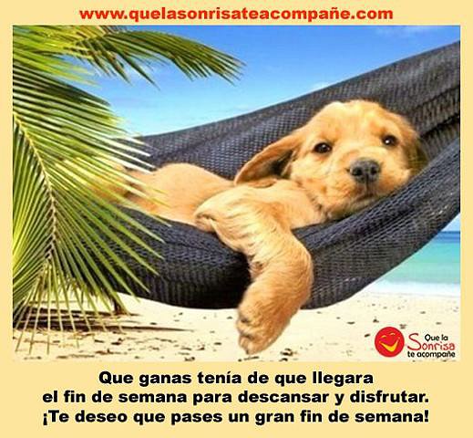 FELIZ FINDE