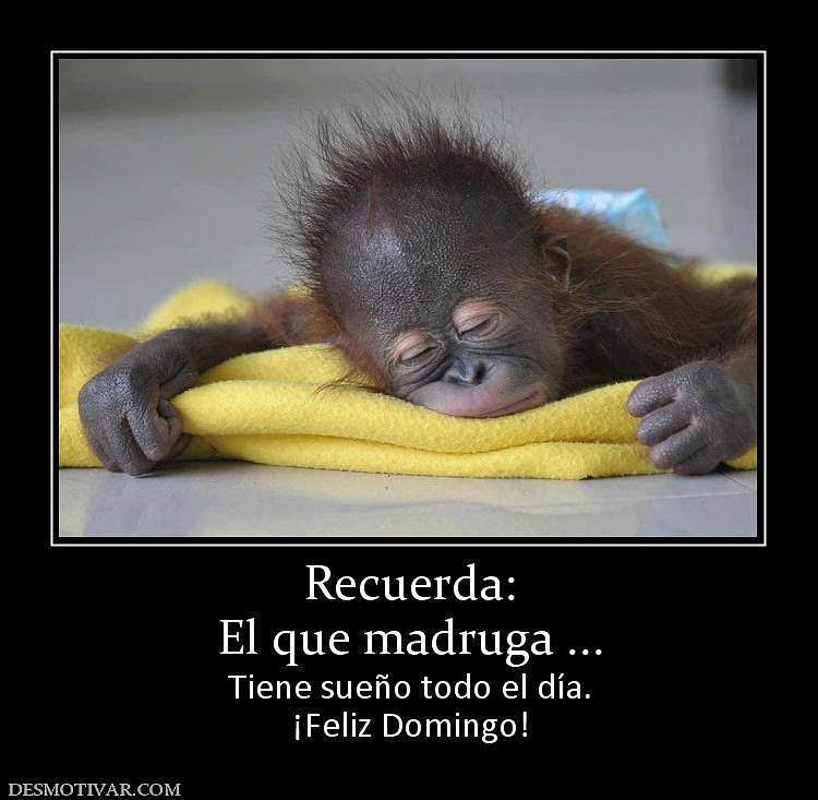 DOMINGO