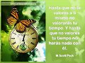 FRASE