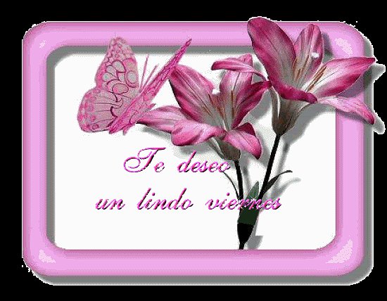 FELIZ VIERNES