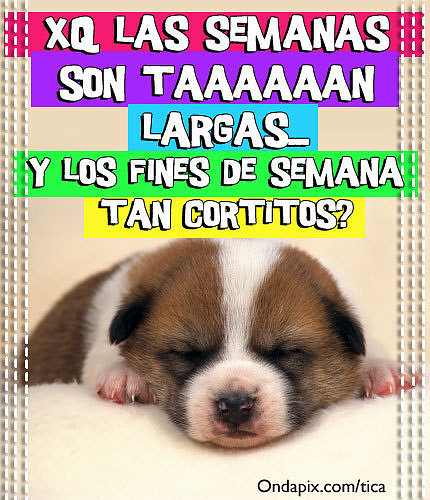 FIN DE SEMANA