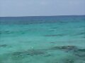 AGUA