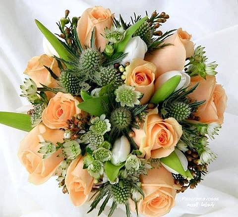 FLORES