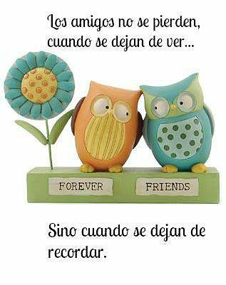 AMIGOS