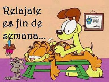 FINDE
