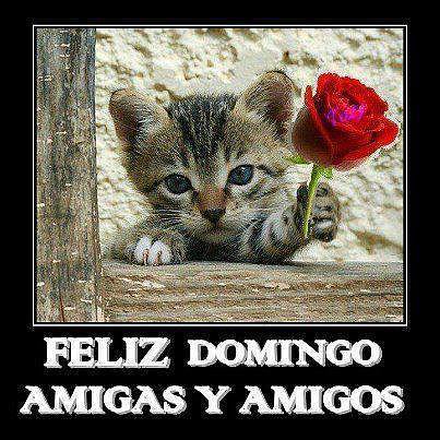 FELIZ DOMINGO