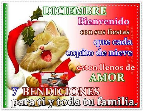 BUENOS DIAS