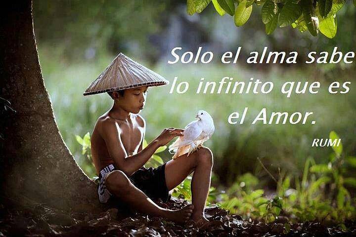 FRASE