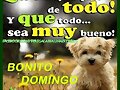 DOMINGO