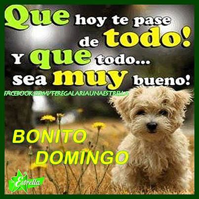 DOMINGO
