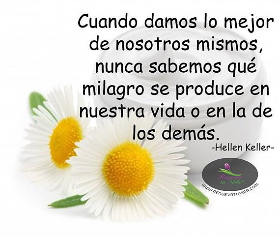 FRASES