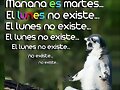 FELIZ DOMINGO