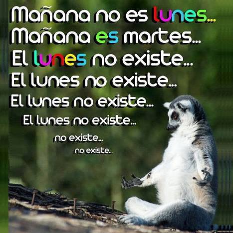 FELIZ DOMINGO