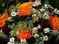 &iquest;CUANTO HACE QUE NO TE REGALAN FLORES?