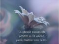 FRASE