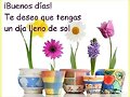BUEN DIA