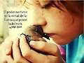 FRASE