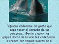 FRASE